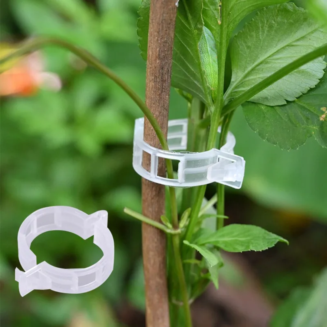 pinces en plastique pour tomates 