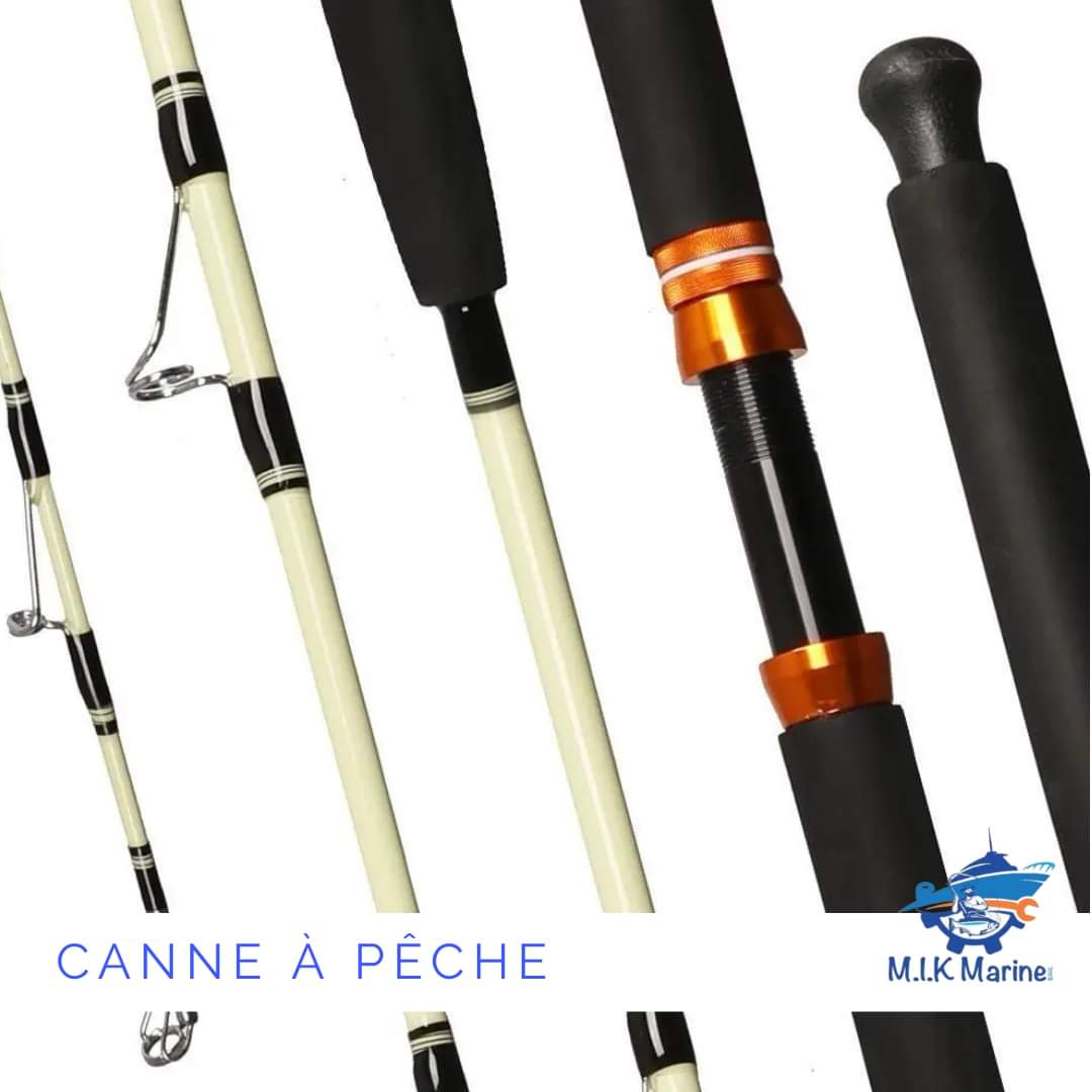 Canne de pêche en fibre