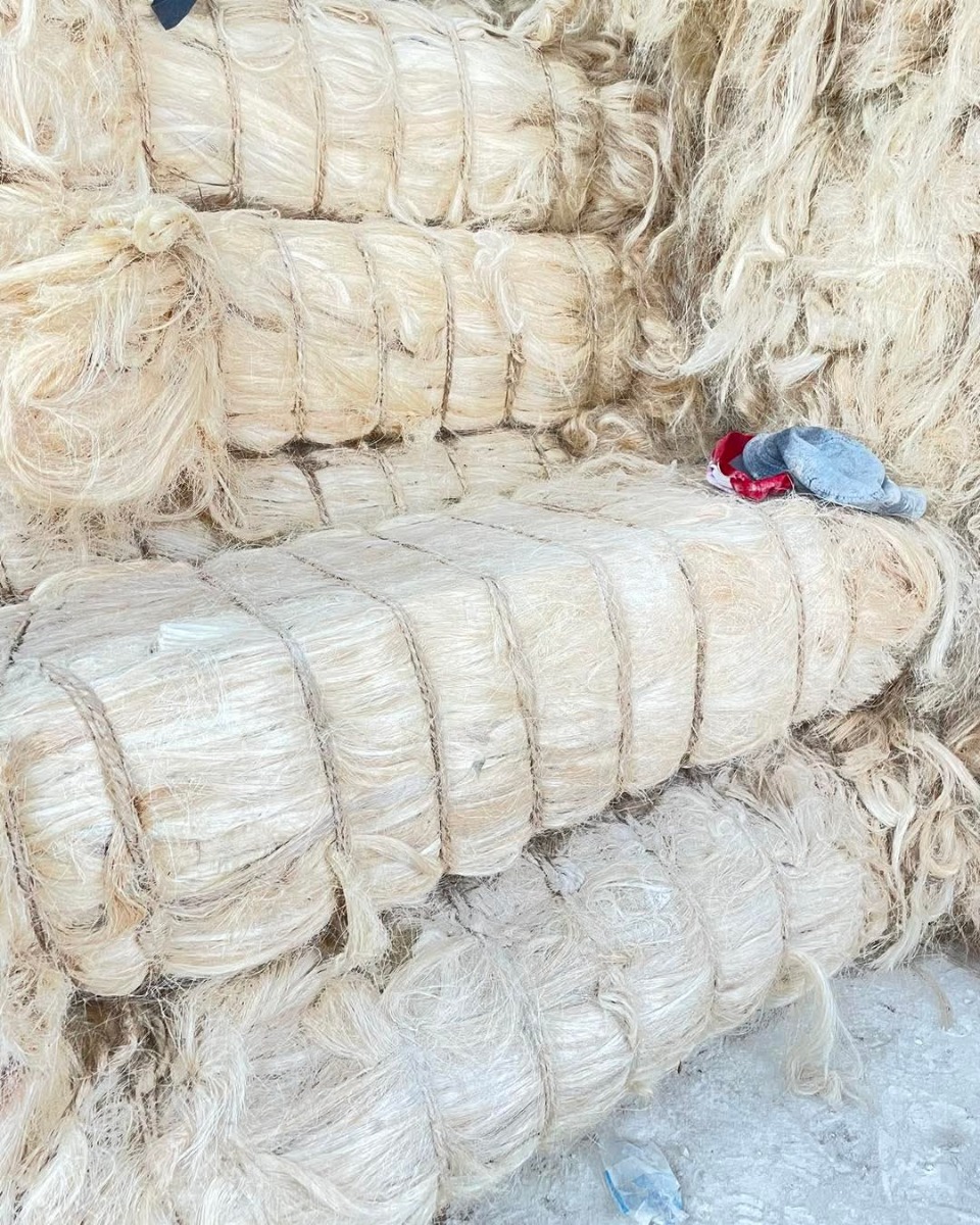 Fibre de sisal brute naturelle – 100% écologique et résistante | Lahidou

