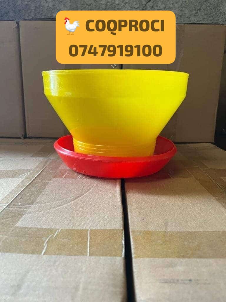 Mangeoire 1er Âge poulailler