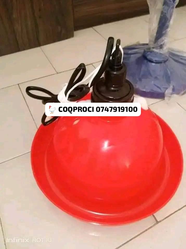 Jumbo automatique tête noir