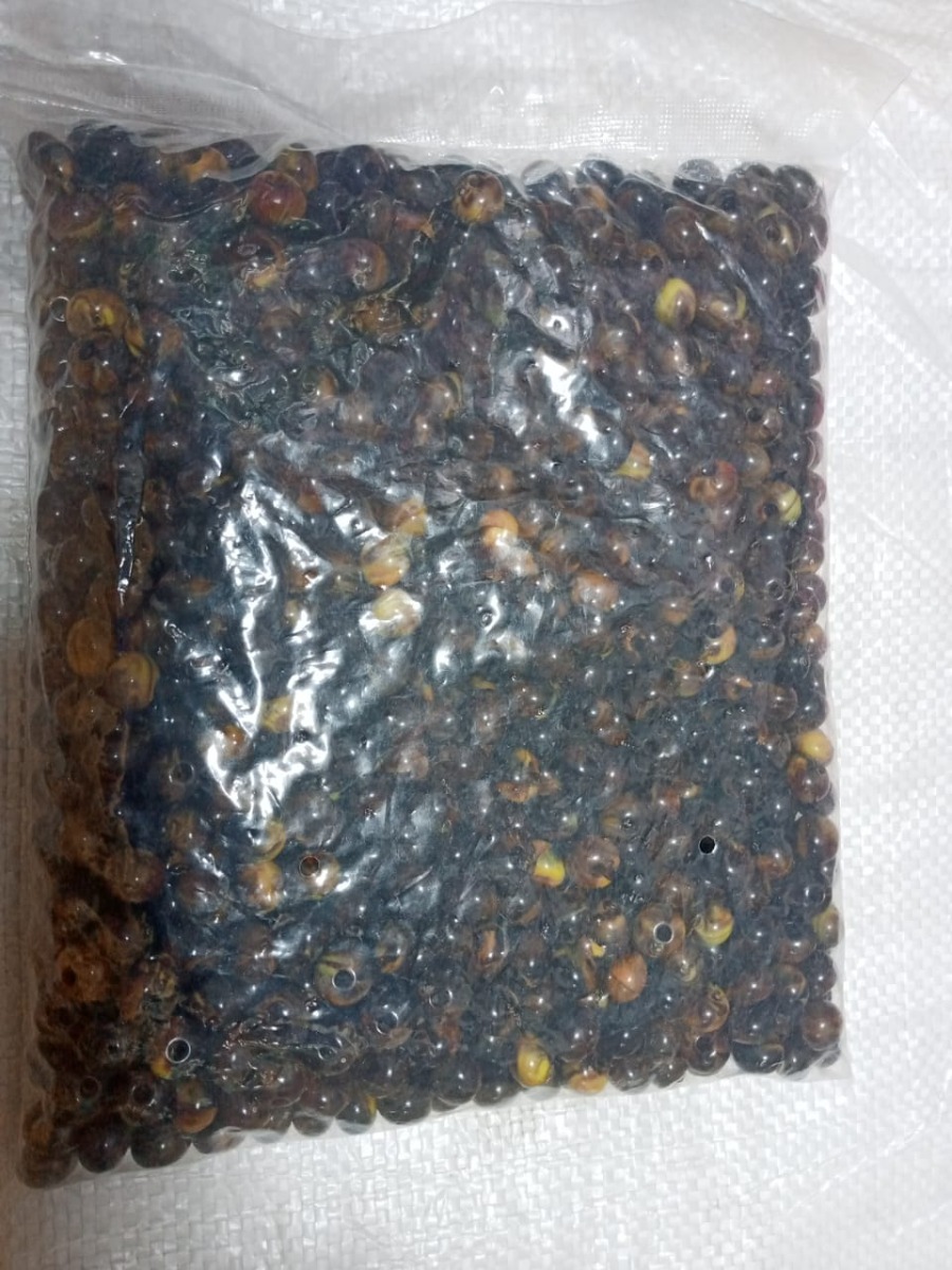 Bouton trouilles habit