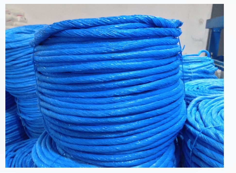 Les cordelettes (62 ficelles en PP) sont très résistantes et offrent un rapport qualité.